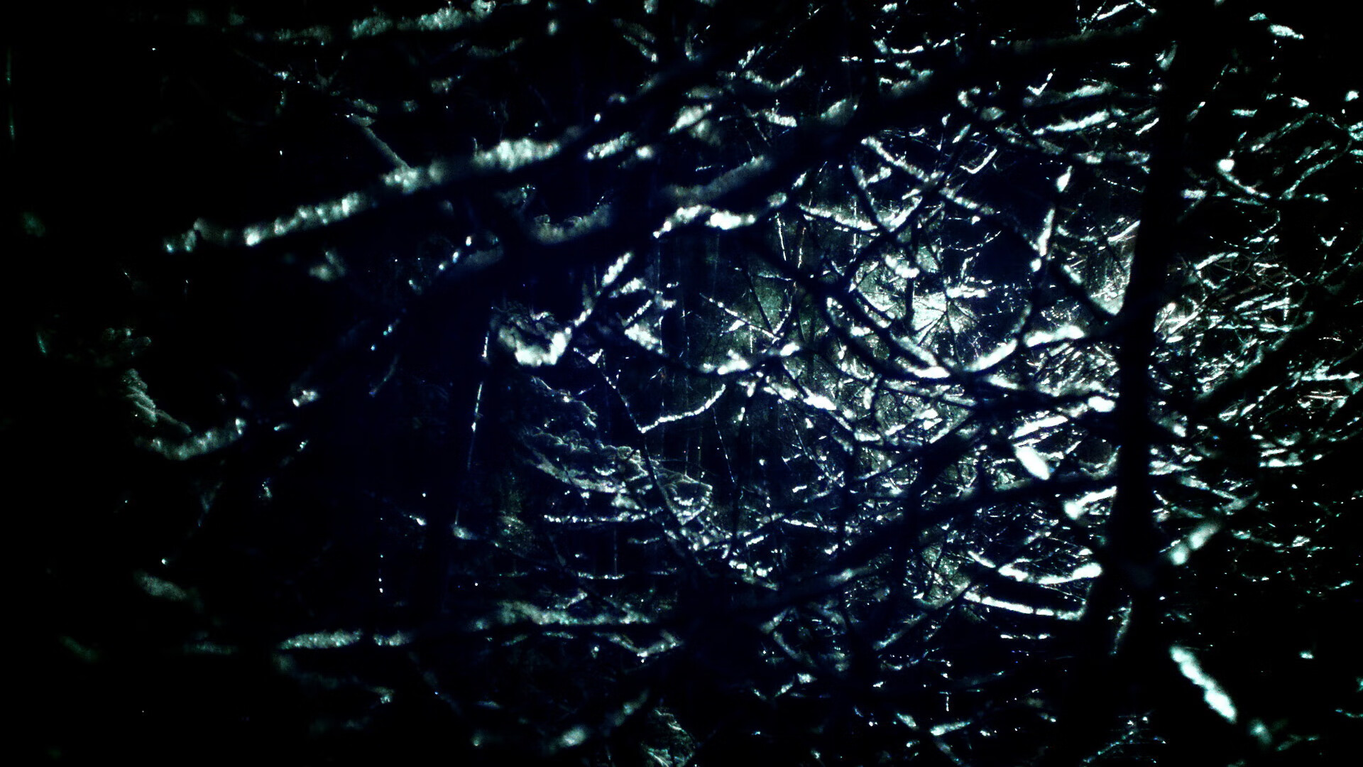 爱游戏中国官方网站平台-NBA球员成立环保联盟，致力于推动绿色球馆建设，绿色的nba球队